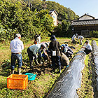 農作業の風景イメージ